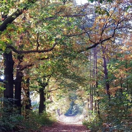 Vakantiehuis Op Rustig Bospark Veluwe Вортуізен Екстер'єр фото