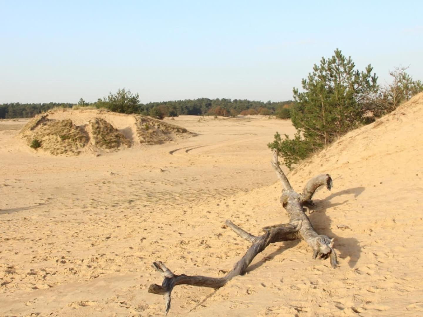 Vakantiehuis Op Rustig Bospark Veluwe Вортуізен Екстер'єр фото