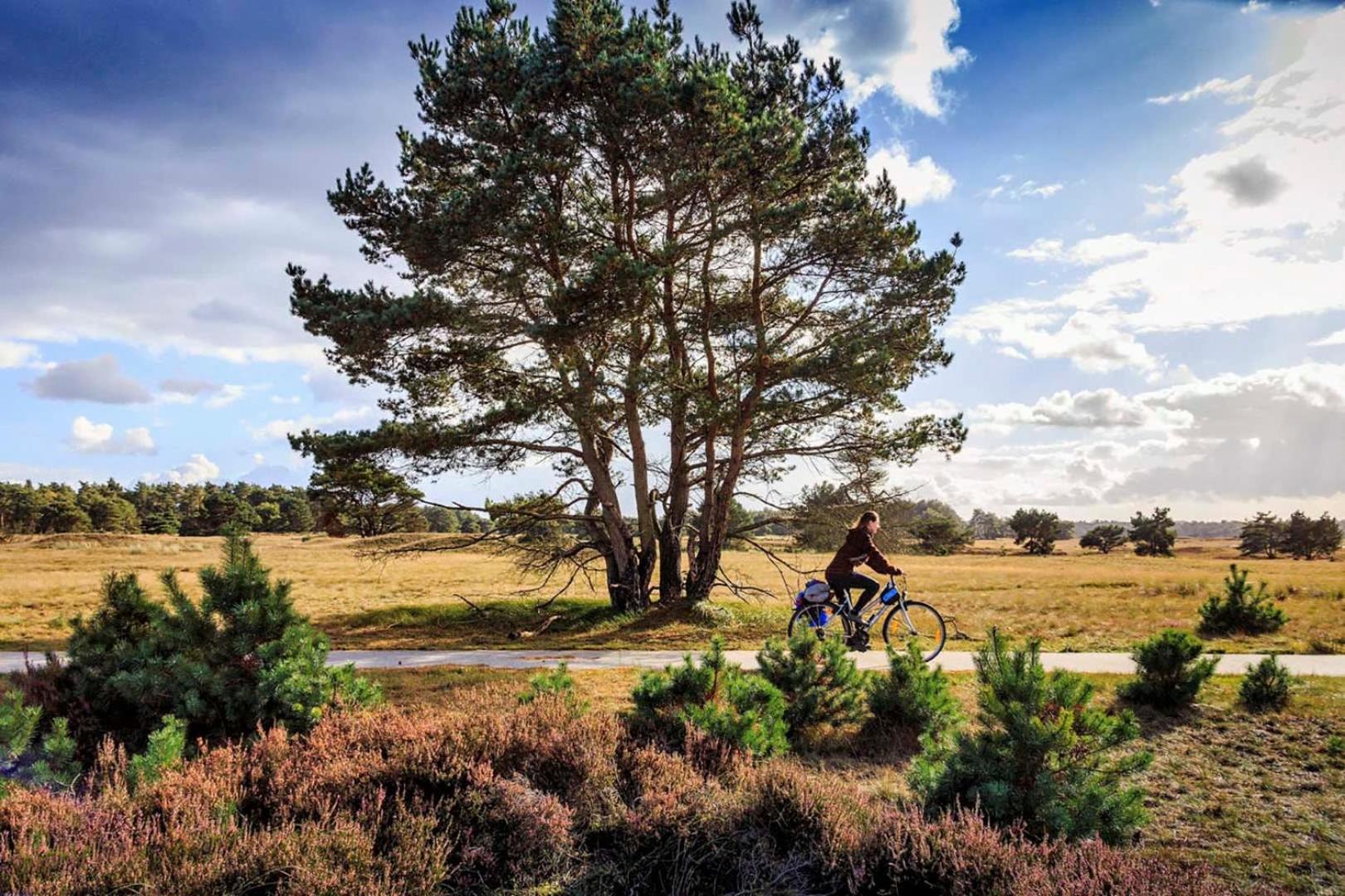 Vakantiehuis Op Rustig Bospark Veluwe Вортуізен Екстер'єр фото