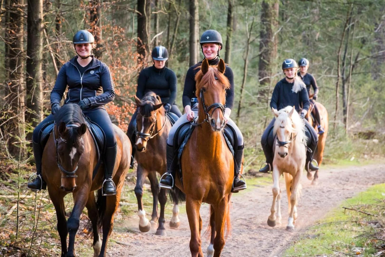 Vakantiehuis Op Rustig Bospark Veluwe Вортуізен Екстер'єр фото