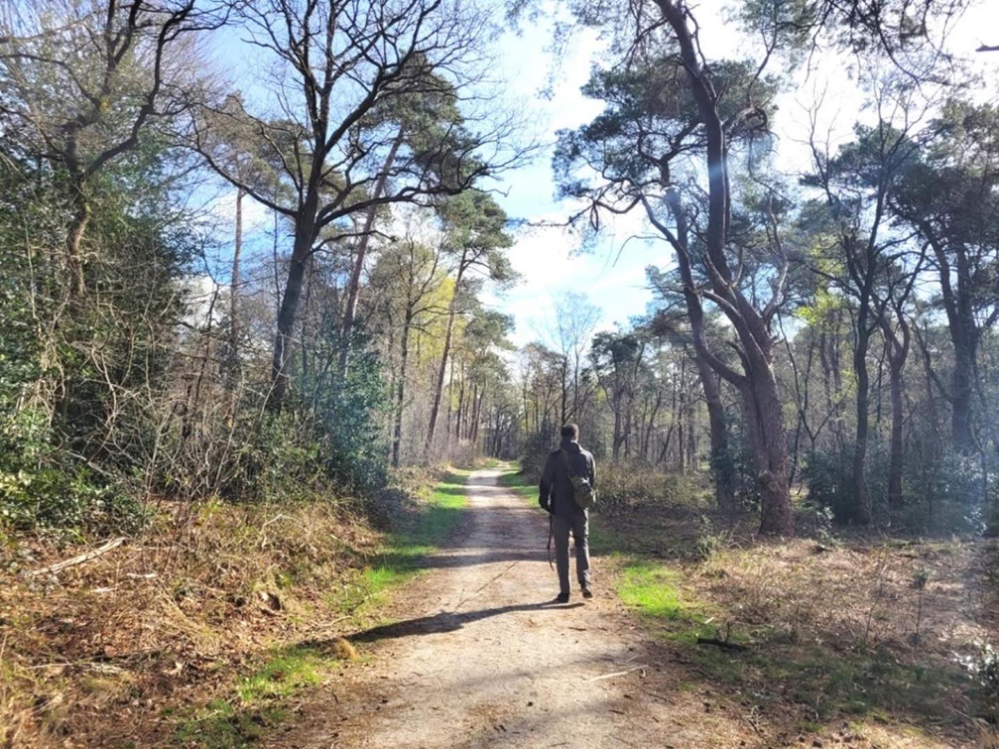 Vakantiehuis Op Rustig Bospark Veluwe Вортуізен Екстер'єр фото